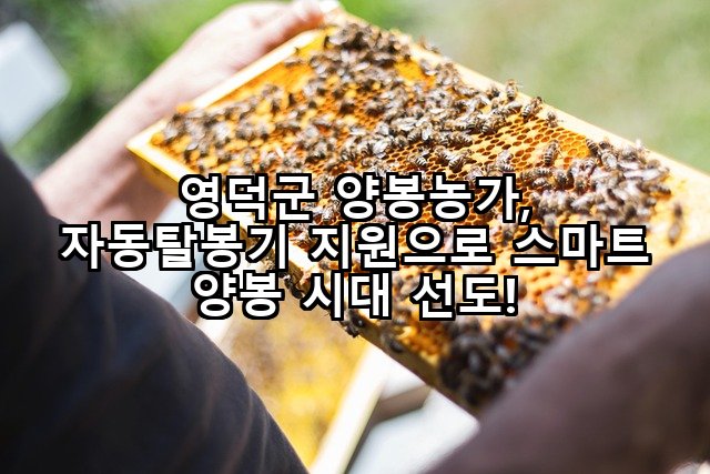 영덕군 양봉농가, 자동탈봉기 지원으로 스마트 양봉 시대 선도!